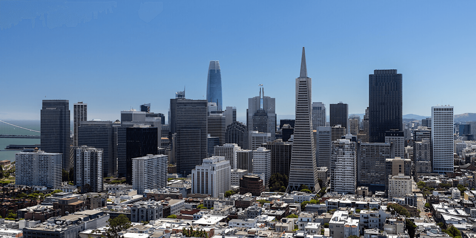 San Francisco City Airplane View of the Skyline v2